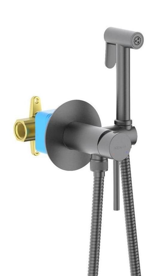 Смеситель Aquatek Европа AQ1021BGM с гигиеническим душем, оружейная сталь Смеситель Aquatek Европа AQ1021BGM с гигиеническим душем, оружейная сталь