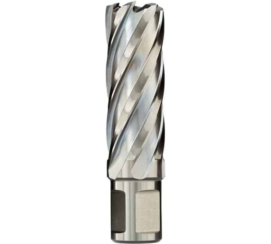 Сверло кольцевое (34х55 мм; HSS; Weldon 19) Euroboor HCL.340