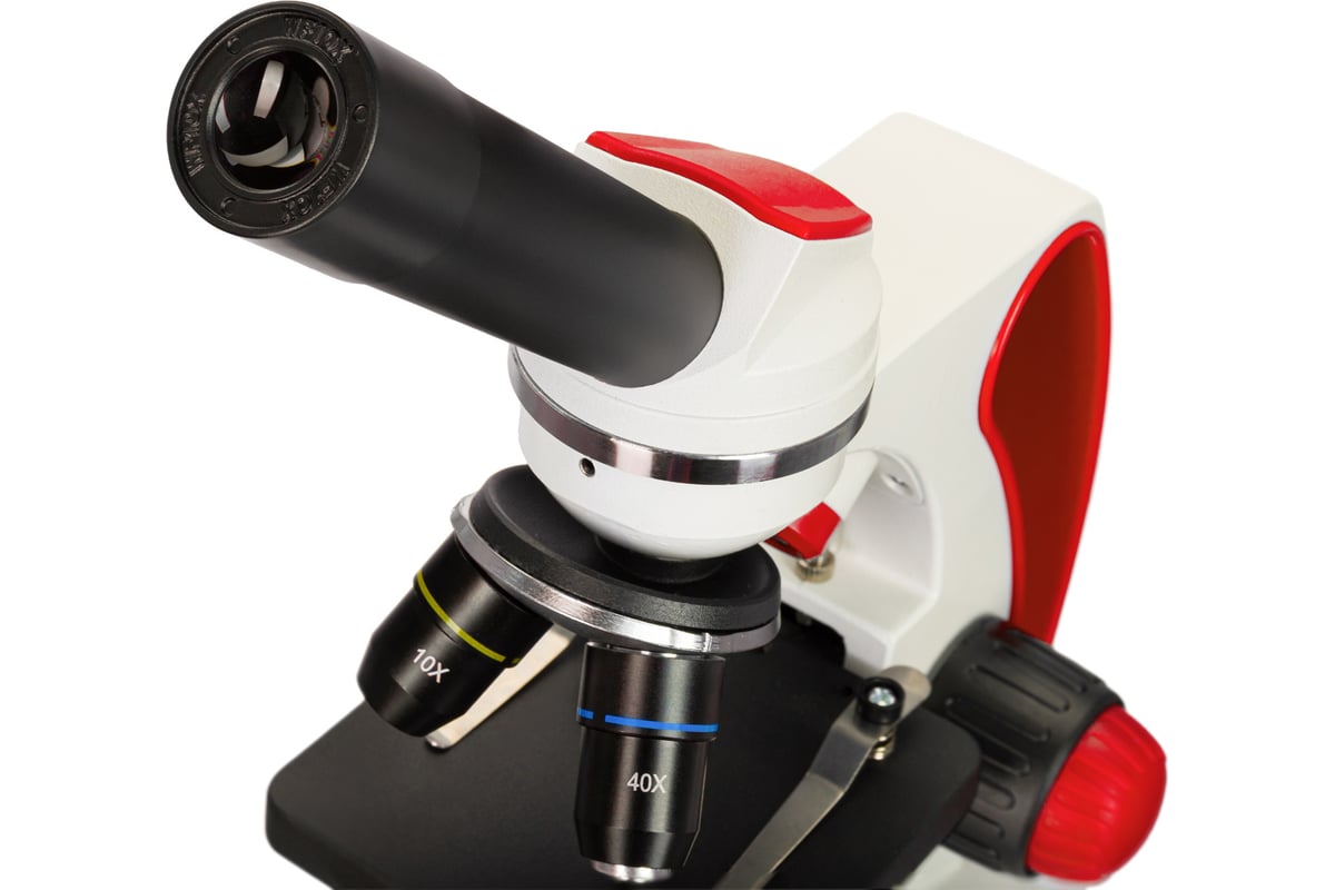 Микроскоп Discovery Pico Terra с книгой 77974