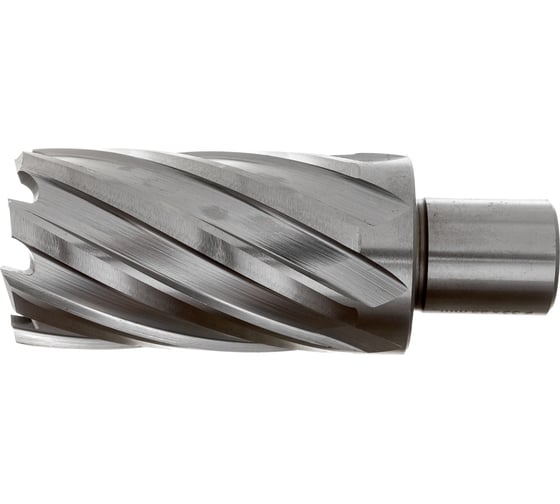 Сверло корончатое HSS по металлу (33х55/88 мм; Weldon 19) D.BOR CD-HSS-055-033-W