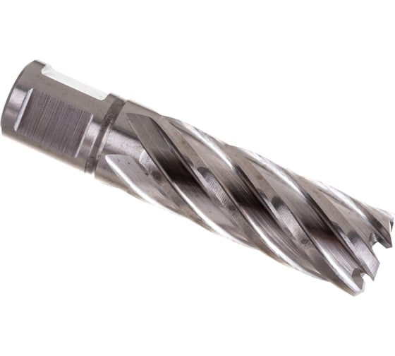 Сверло корончатое HSS по металлу (20х55/88 мм; Weldon 19) D.BOR CD-HSS-055-020-W