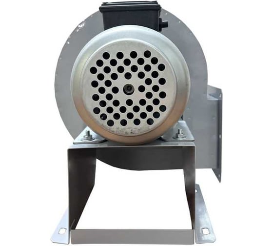 Вентилятор радиальный ERA BURAN PRO 200 220V Пр0 2 полюс PRO BURAN PRO 200 2K M R