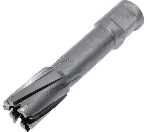 Фреза кольцевая TCT (20x55 мм; Weldon 19) Rotorica RT.4225020