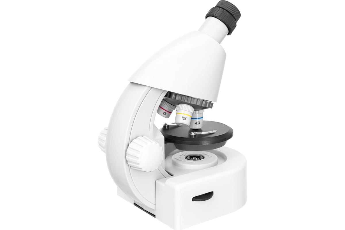 Микроскоп Discovery Micro Polar с книгой 77952