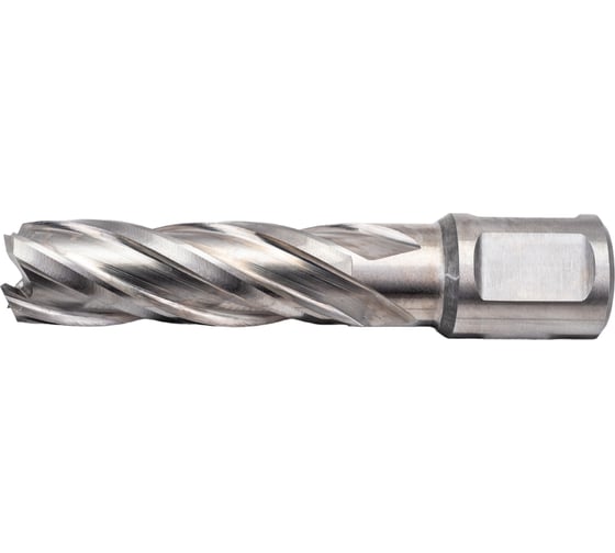 Сверло кольцевое (16х55 мм; HSS; Weldon 19) Euroboor HCL.160