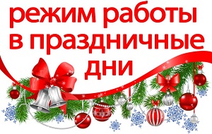 Работа компании Купатика в новогодние праздники 2020-2021 г