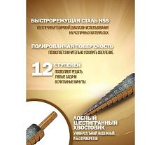Сверло ступенчатое в блистере HSS424 Forsage F-44738(49820)