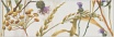 Бордюр Kerama Marazzi Астория Птицы белый глянцевый обрезной 25х8 см, SST\A04\12105R
