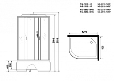 Душевая кабина Niagara NG 2310-14RG 120x80 стекло матовое, гидромассаж, R