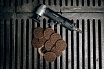Диск быстросменный на винтовом креплении NW QD-R, D=50 мм, Coarse Abraforce AFQDNWR5000CRS