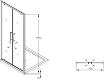 Душевая дверь SSWW LD60-Y22 120x195 профиль серебро