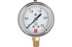 Манометр ДМ 2 063 Р (0-2.5) МПа, кл.1.5, М12x1.5 BD 1152100003