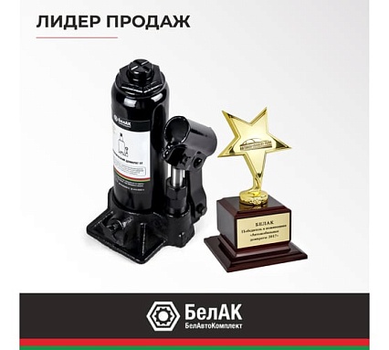 Домкрат 5 тонн в кейсе БелАК БАК.10042