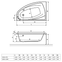 Акриловая ванна Excellent Aquaria Comfort 160x100 R