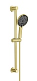 Душевой гарнитур Aquatek Лугано AQ2022BG шлифованное золото