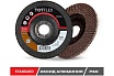 Круг лепестковый торцевой STANDARD 2 (125x22.2 мм; Р60) TOTFLEX 4631148128132
