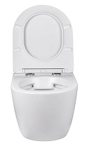Подвесной унитаз Vincea Globo VT1-14S 485х365х360 безободковый, белый
