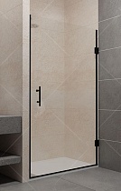 Душевая дверь RGW Passage PA-06B 60x195, прозрачное, черный