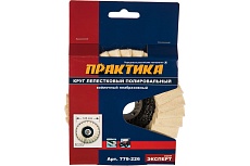 Круг лепестковый полировальный (125х22.2 мм) Практика 779-226