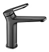Смеситель для раковины Black&White Gravity GF-7109-GM оружейная сталь