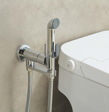 Смеситель Aquatek Ника AQ1819CR с гигиеническим душем, хром Смеситель Aquatek Ника AQ1819CR с гигиеническим душем, хром