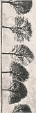 Вставка Meissen Willow Sky деревья светло-серый 29x89 см, O-WIL-WID521-14