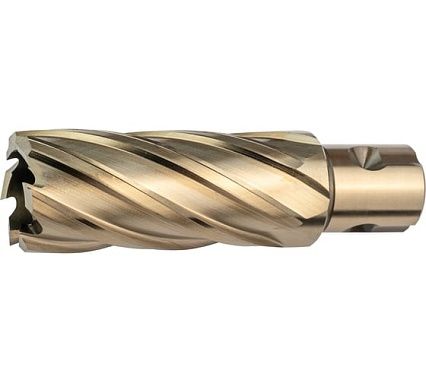 Сверло корончатое (25х55 мм; Weldon 19) LENZ LZHM-025