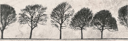 Вставка Meissen Willow Sky деревья светло-серый 29x89 см, O-WIL-WID521-14