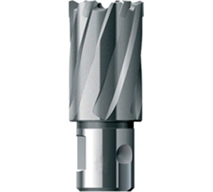 Фреза кольцевая HSS (22х30 мм) FE POWERTOOLS FE3022
