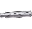 Сверло корончатое TCT 30х110 мм, Weldon 19 AT-S TN11030