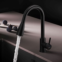 Смеситель для кухни Am.Pm X-Joy S F85B07522 выдвижной излив, черный