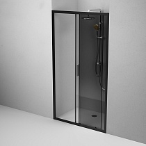 Душевая дверь Am.Pm Gem 110x195 прозрачное/тонированное стекло, черный