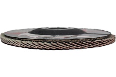 Лепестковые тарельчатые круги FLD-10 D125 мм, P120 R2R 8030-10125120