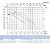 Насос SAER BP4 400V 100548186
