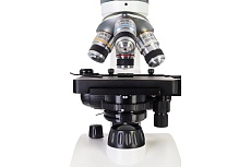 Микроскоп Discovery Atto Polar с книгой 77989