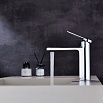 Смеситель для раковины Black&White Gravity GF-7103-С хром