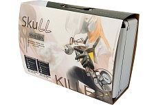 Краскопульт Radex skull killer spray gun с манометром, в кейсе hvlp дюза 1.3 золото 12113