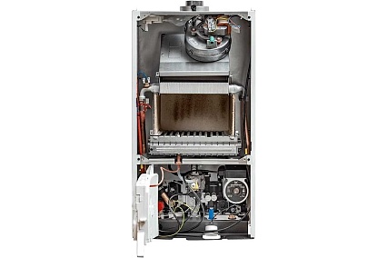 Газовый настенный котел Baxi ECO4S 1.24 F 7659666--