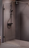 Душевая перегородка Am.Pm X-Joy W94WI-100-F1-BTE 100x195 черный матовый, прозрачное