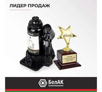 Домкрат 3 тонны в кейсе БелАК БАК.10040