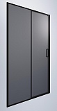 Душевая дверь Timo TD-150/03GR-6 150x195 графит, черный