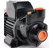 Вихревой поверхностный насос Patriot QB70 315302456
