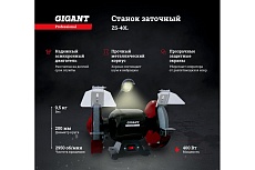 Заточной станок Gigant Professional ZS-40L 400Вт, 2950 об/мин, диаметр круга 200мм GP-400L