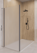 Боковая стенка RGW Z-050-2Gr 100x195 матовое, серый 352205200-210