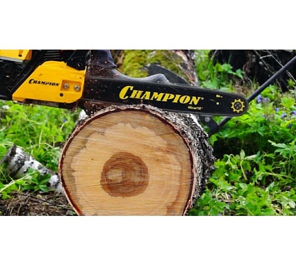 Бензопила Champion 240-16"-3/8-1,3-56+ подарочный набор A240-16