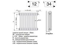 Трубчатый радиатор Arbonia 3057/22 № 12 RAL9016 3/4