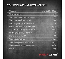 Поверхностный насос PROFLINE 600 вт, чугун AUTOJET-600 CS УТ-00037151
