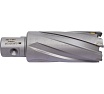 Сверло кольцевое (29х55 мм; TCT; Weldon 19/One-touch) Euroboor HMLU.290