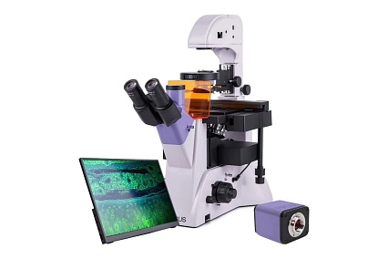 Люминесцентный инвертированный цифровой микроскоп MAGUS lum vd500l lcd 83023