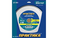 Диск алмазный Мастер (300х25.4 мм) Практика 038-951